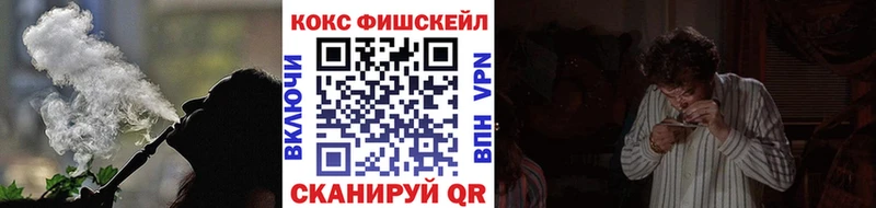 как найти Вольск COCAIN 97%