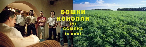молекула духа Балабаново